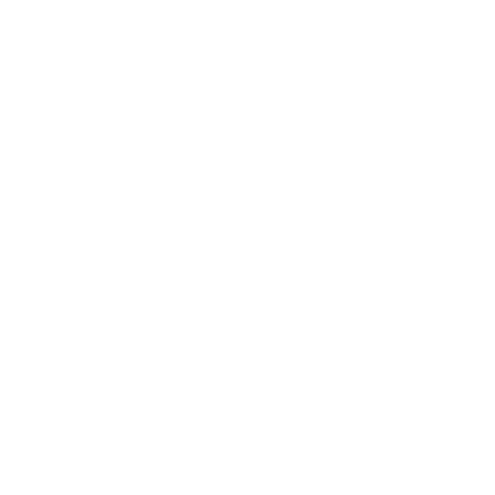it branchen